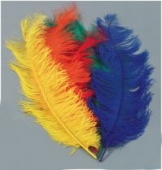 Strau�enfeder 2. Wahl